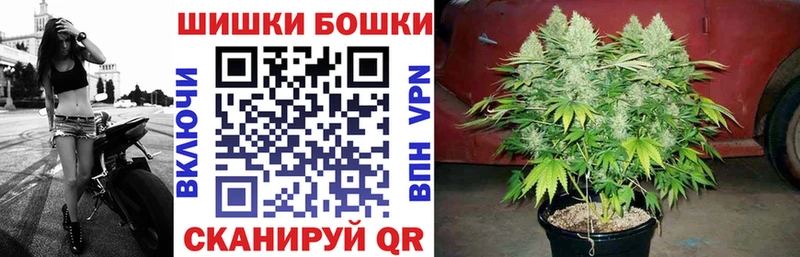 Купить  Магадан  Канабис AK-47 